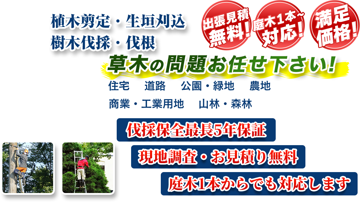 滋賀県全域エリア即対応!! 出張無料! 庭木1本~対応! 満足価格! 植木剪定・生垣刈込 樹木伐採・伐根 草木の問題お任せ下さい! 住宅 道路 公園・緑地 農地 商業・工業用他 山林・森林 伐採保全最長5年保証 現地調査・お見積り無料 庭木1本からでも対応します